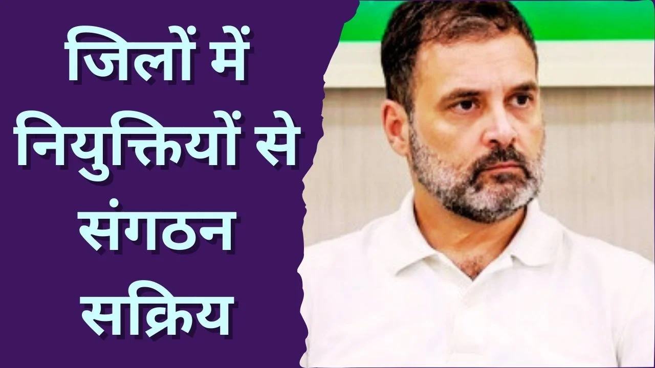 राहुल गांधी की नाराजगी के बाद MP कांग्रेस में बड़ा संगठनात्मक फेरबदल