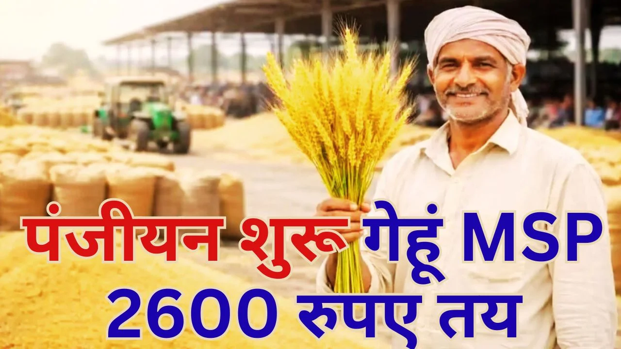MP में गेहूं खरीदी पंजीयन शुरू