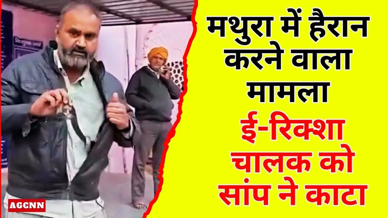 मथुरा में हैरान करने वाला मामला: ई-रिक्शा चालक को सांप ने काटा, जैकेट से जिंदा सांप निकालकर दिखाया