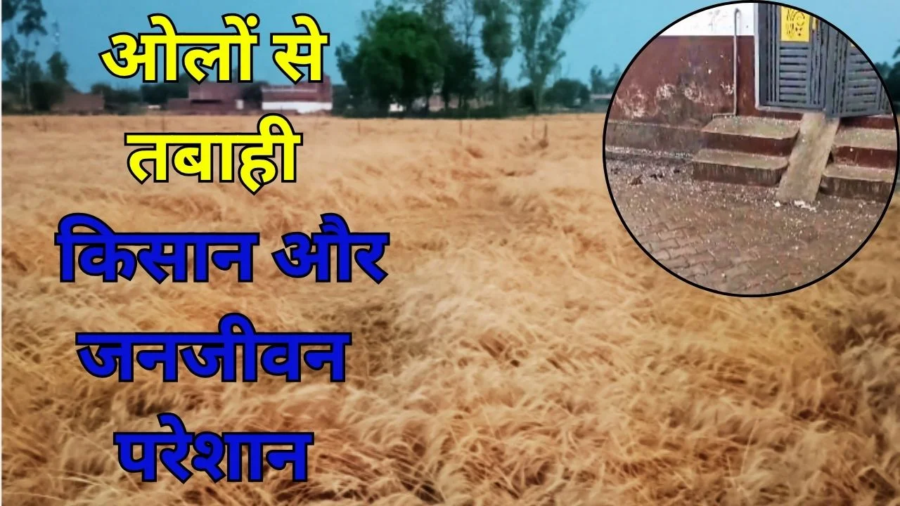 ओलों से तबाही, किसान और जनजीवन परेशान