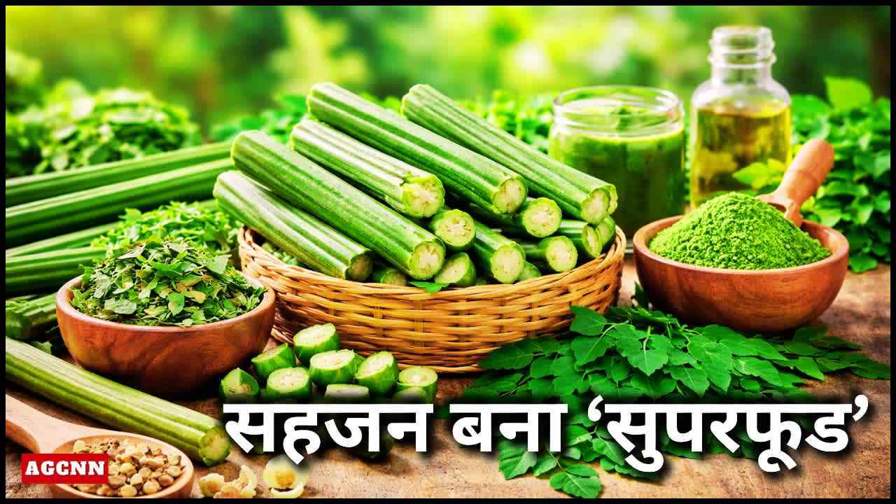सहजन बना ‘सुपरफूड’: रसोई की साधारण फली अब वैश्विक स्वास्थ्य क्रांति का केंद्र
