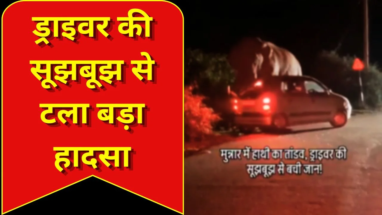 कार सवारों की बाल-बाल जान बची, वीडियो वायरल