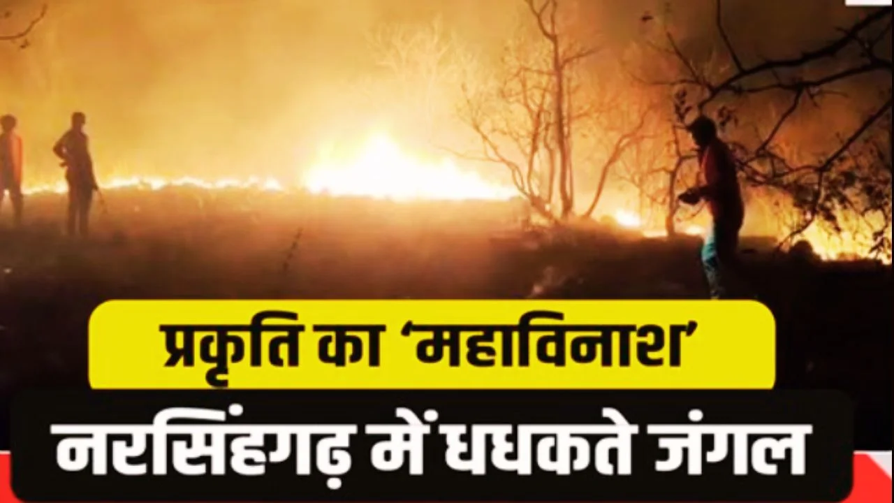 नरसिंहगढ़ के जंगलों में भीषण आग, पहाड़ों तक फैला खतरा बढ़ा