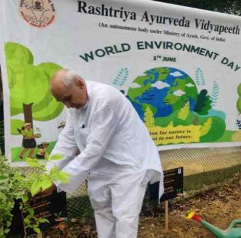 राष्ट्रीय आयुर्वेद विद्यापीठ ने मनाया विश्व पर्यावरण दिवस 2026: वृक्षारोपण और पौध वितरण से दिया पर्यावरण संरक्षण का संदेश