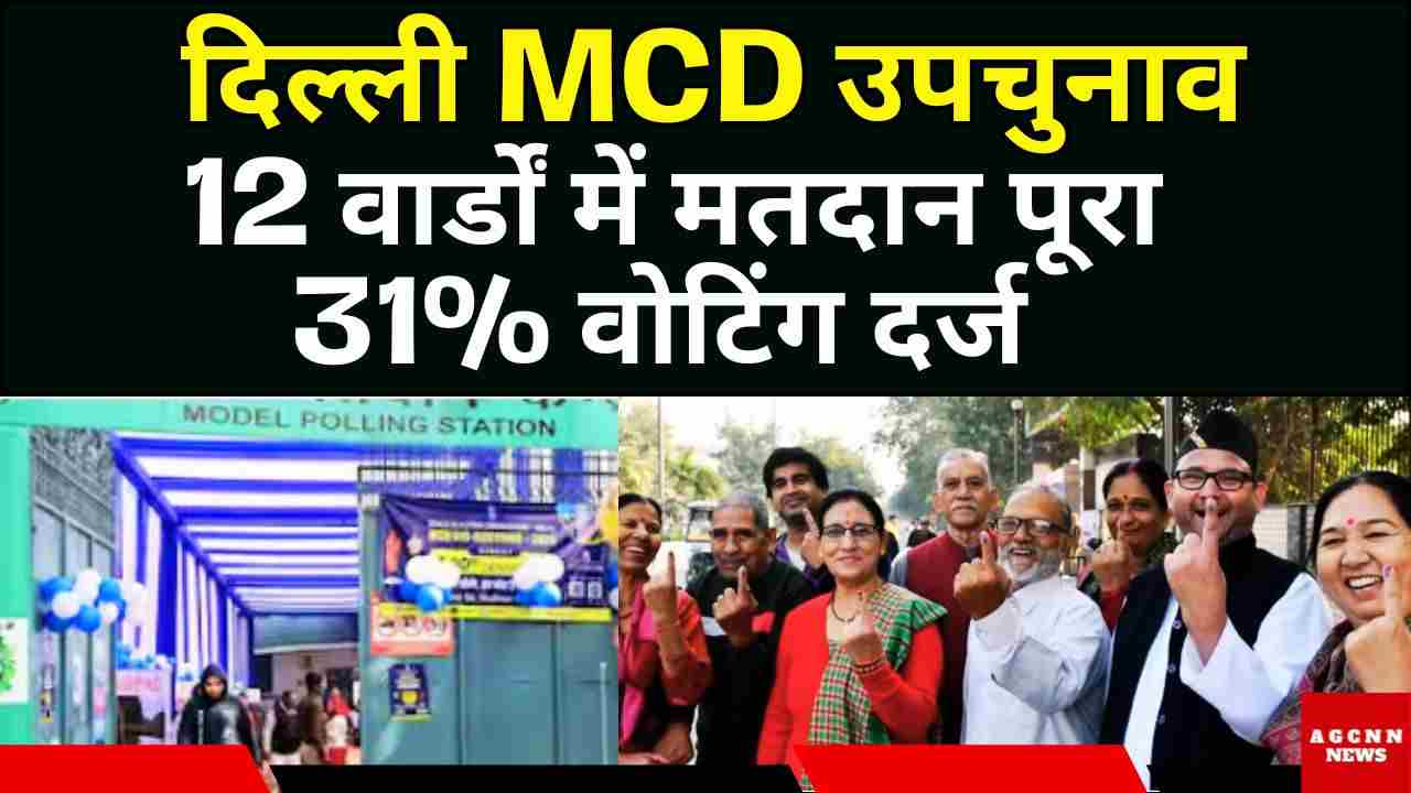 दिल्ली MCD उपचुनाव: 12 वार्डों में मतदान पूरा, 31% वोटिंग दर्ज