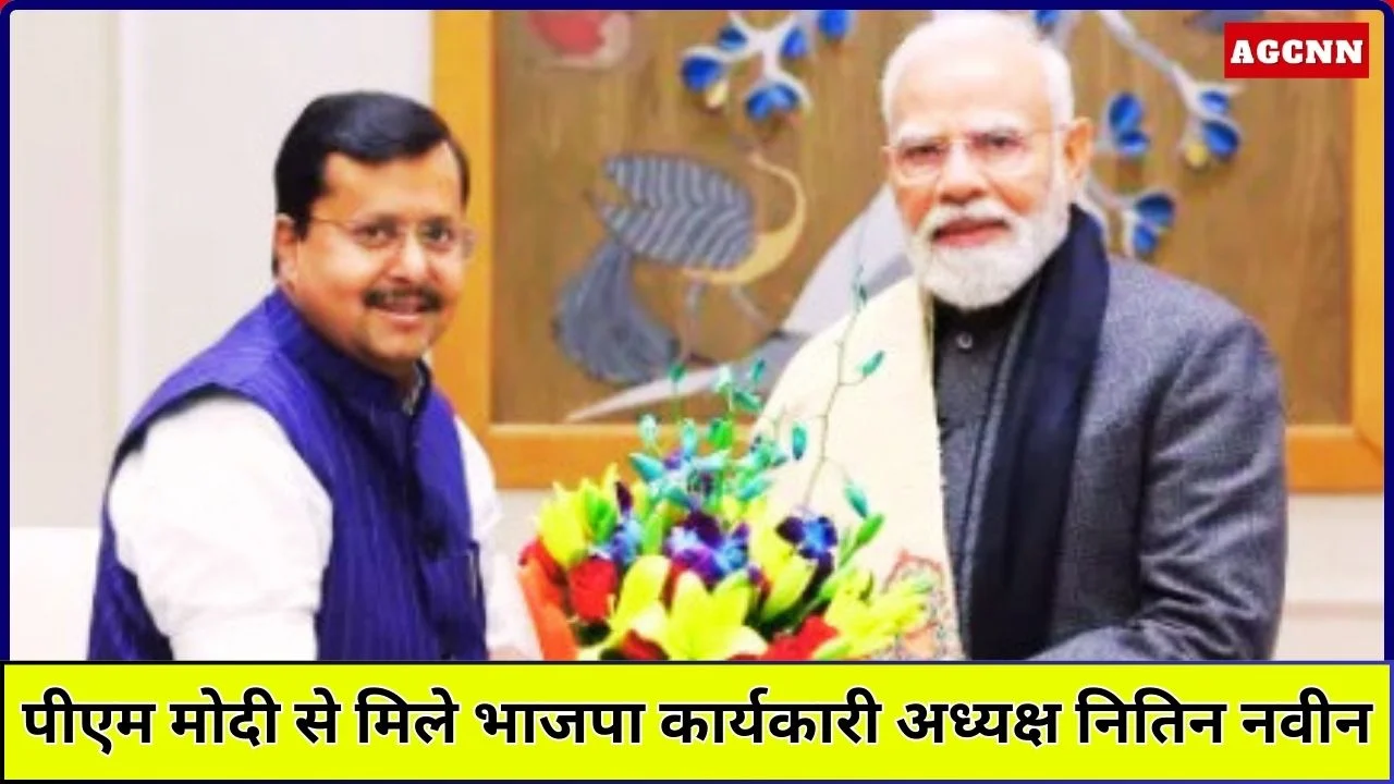 पीएम मोदी से मिले भाजपा कार्यकारी अध्यक्ष नितिन नवीन, संगठन मजबूत करने पर जोर