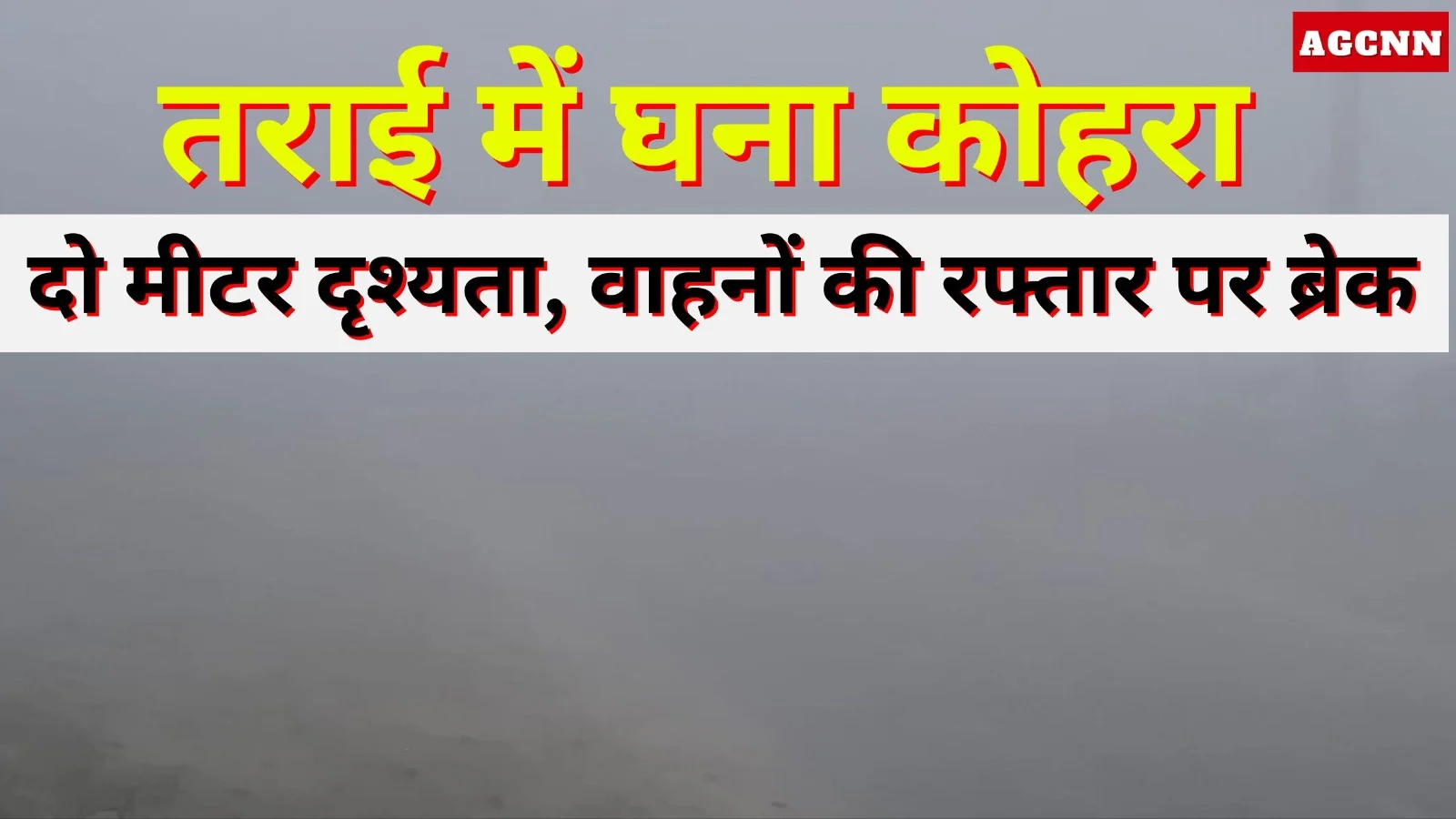 लखीमपुर खीरी: तराई क्षेत्र में घना कोहरा, दृश्यता केवल दो मीटर; वाहनों की रफ्तार थमी