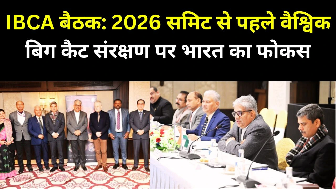 2026 समिट से पहले भारत ने IBCA सहयोग को मजबूत किया, वैश्विक बिग कैट संरक्षण पर सहमति
