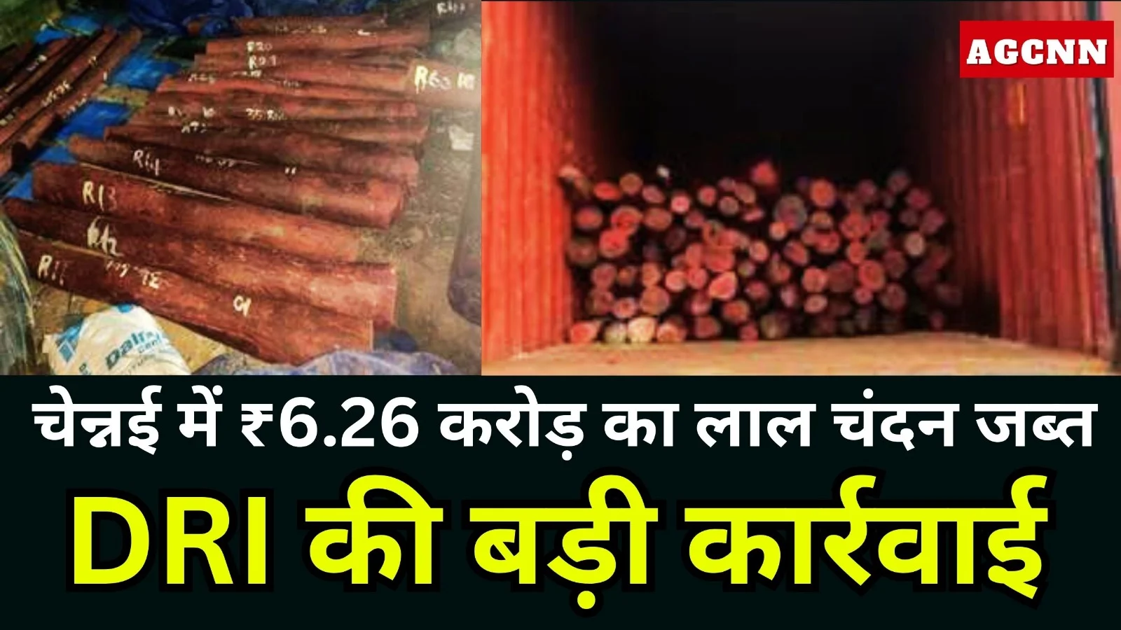 डीआरआई की बड़ी कार्रवाई, चेन्नई में ₹6.26 करोड़ का लाल चंदन जब्त