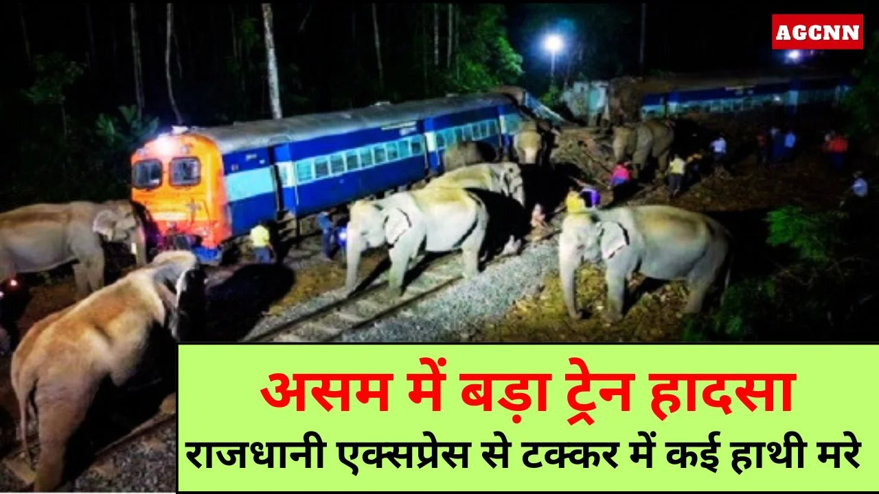 असम में राजधानी एक्सप्रेस हाथियों से टकराई, 8 हाथियों की मौत
