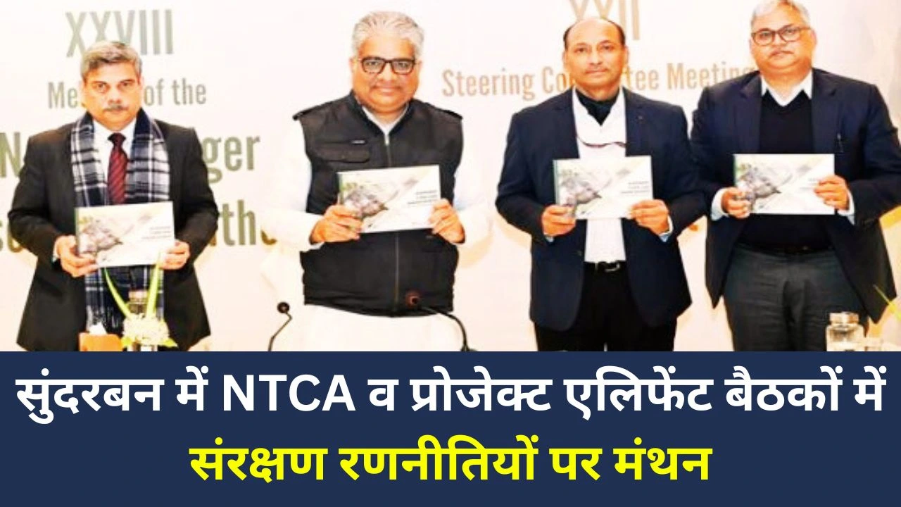 सुंदरबन में NTCA व प्रोजेक्ट एलिफेंट बैठक: बाघ-हाथी संरक्षण की रणनीति पर मंथन