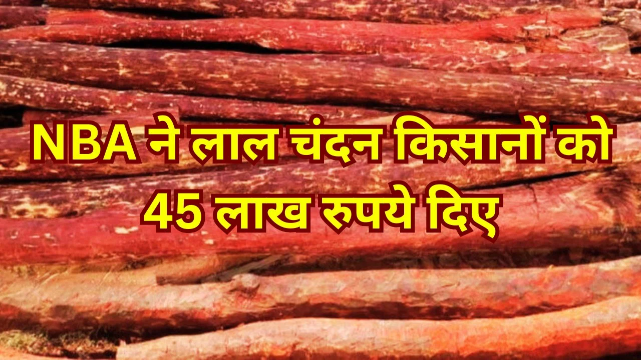 NBA ने आंध्र प्रदेश के लाल चंदन किसानों को 45 लाख रुपये ABS योजना तहत वितरित किए