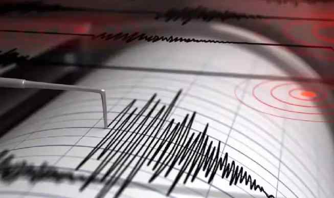 New Zealand Earthquake News: साउथ आइलैंड में तेज झटके, तटीय इलाकों में चेतावनी