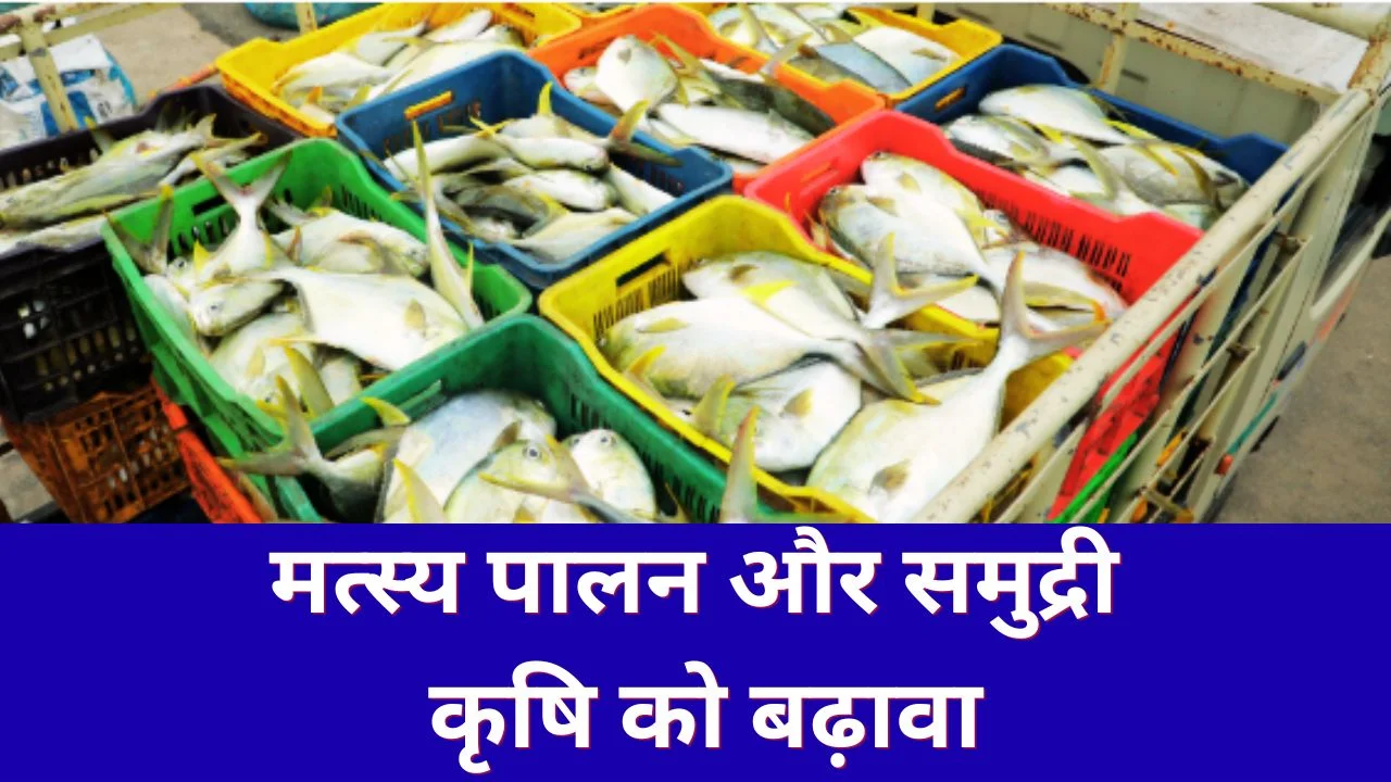 प्रधानमंत्री मत्स्य संपदा योजना: महाराष्ट्र में 1472 करोड़ की परियोजनाओं को मंजूरी