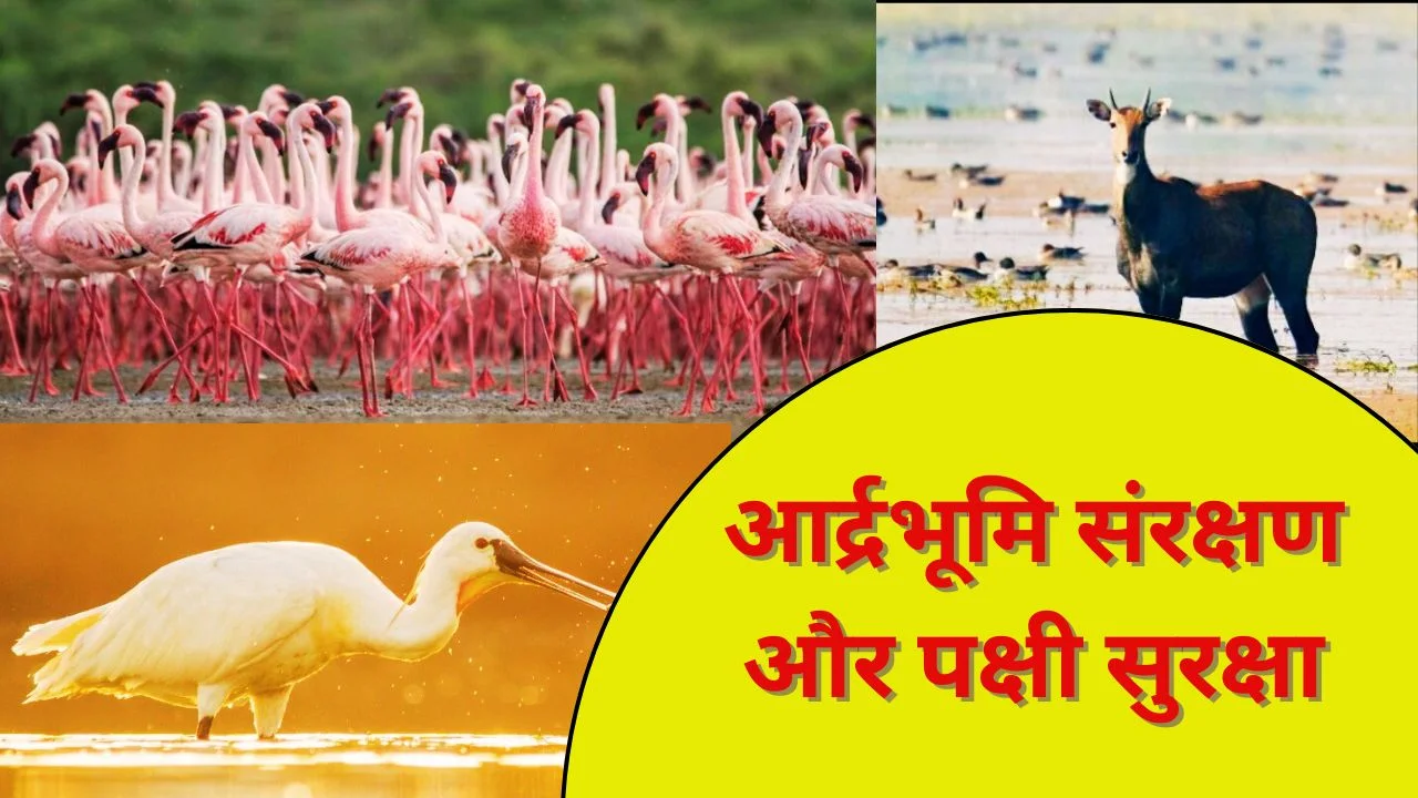 PM MODI ने पटना पक्षी अभयारण्य व छारी-ढांड को रामसर स्थल बनने पर बधाई