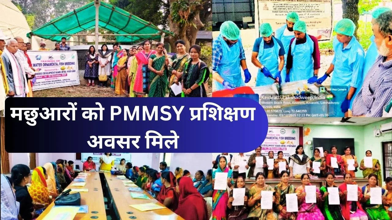 PMSSY 2025-2027 प्रशिक्षण कैलेंडर जारी, मत्स्य पालन और जलीय कृषि सशक्त