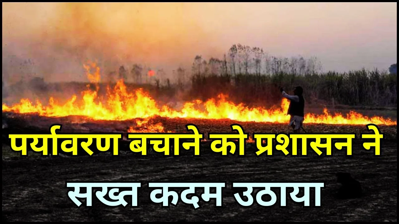 पन्ना में नरवाई जलाने पर सख्ती, 19 किसानों पर कार्रवाई, प्रशासन अलर्ट