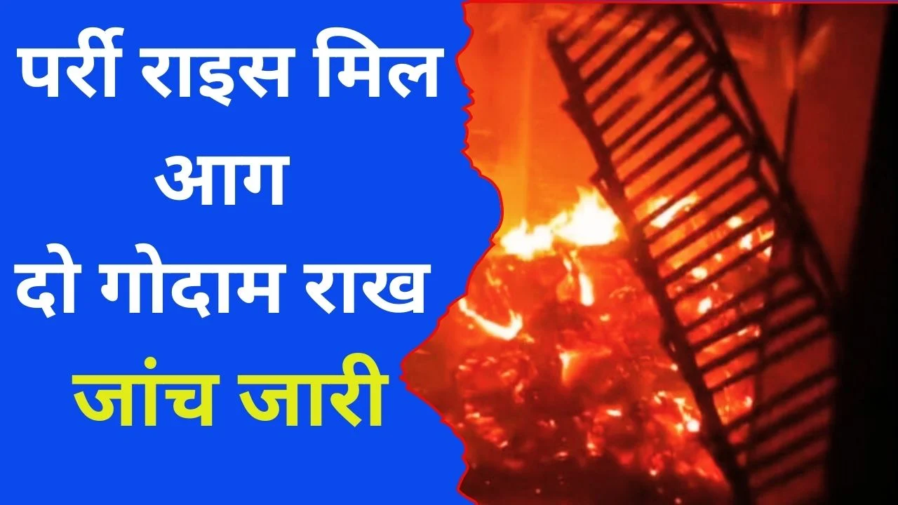 पर्री राइस मिल में भीषण आग