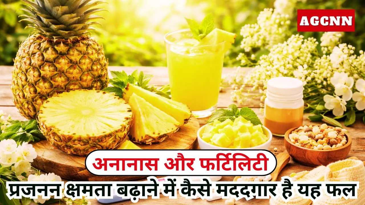 अनानास और फर्टिलिटी: प्रजनन क्षमता बढ़ाने में कैसे मददगार है यह फल