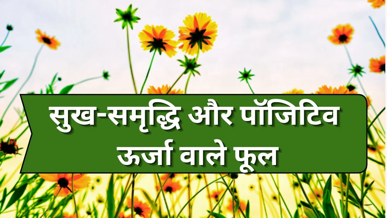 घर में सुख-समृद्धि और पॉजिटिविटी बढ़ाने वाले पांच प्रमुख फूल