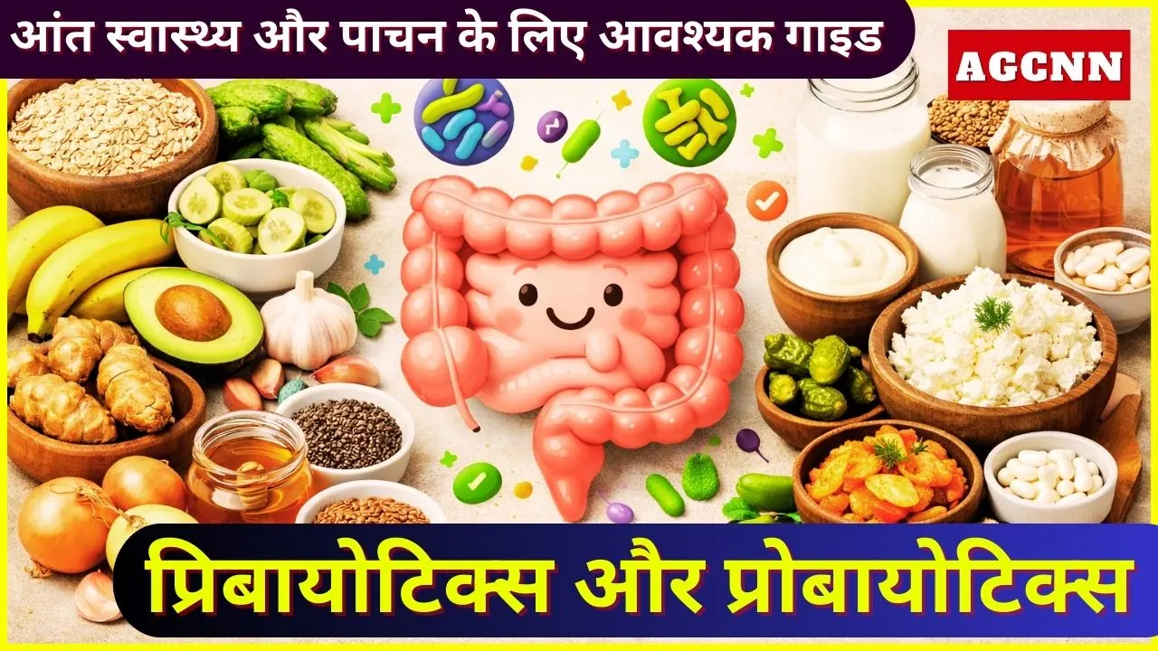 प्रिबायोटिक्स और प्रोबायोटिक्स: आंत स्वास्थ्य और पाचन के लिए आवश्यक गाइड