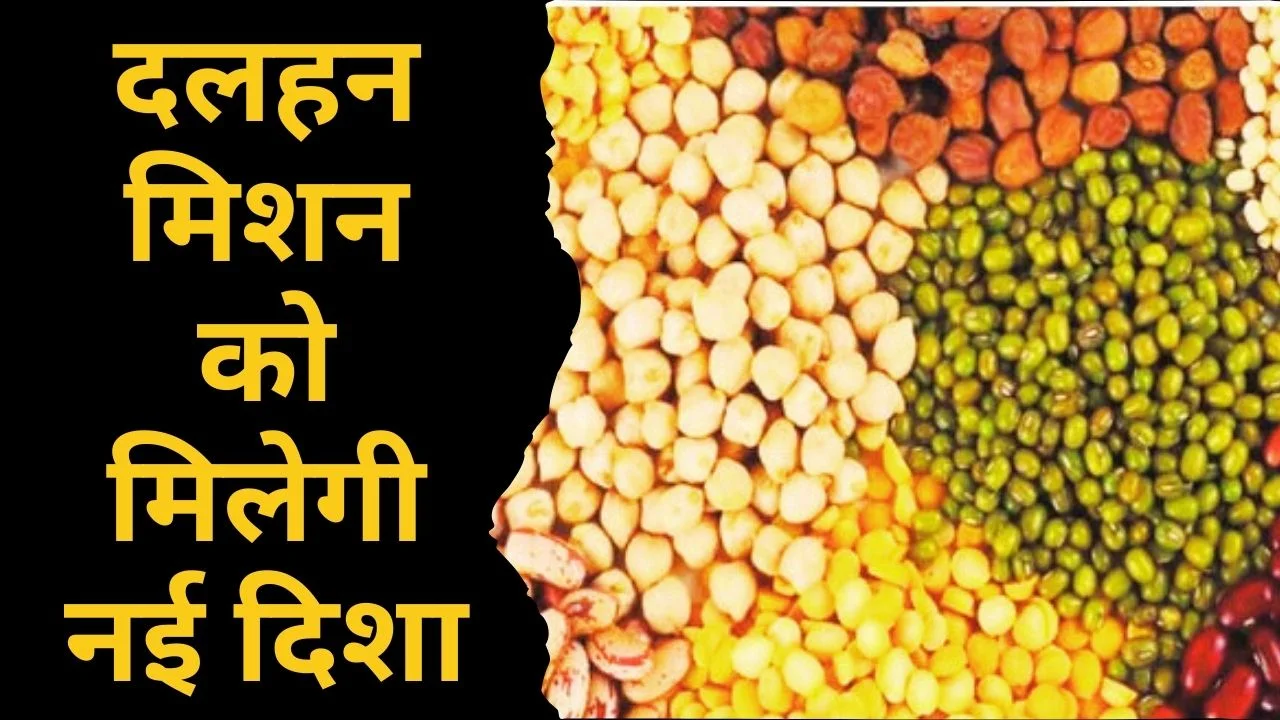 दलहन आत्मनिर्भरता पर राष्ट्रीय मंथन, सिहोर में केंद्र-राज्य रणनीति बैठक