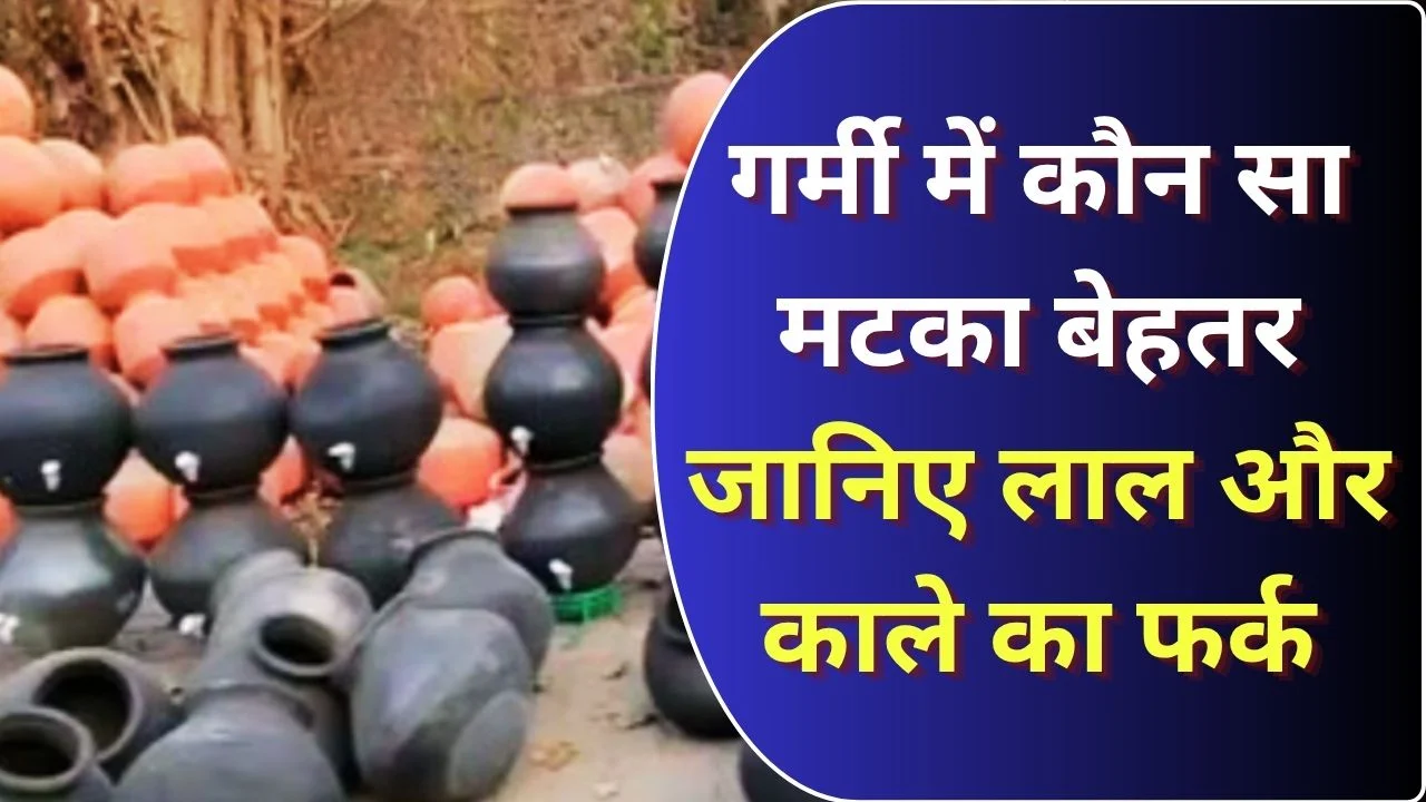 गर्मी में कौन सा मटका बेहतर, लाल या काला जानिए पूरा फर्क