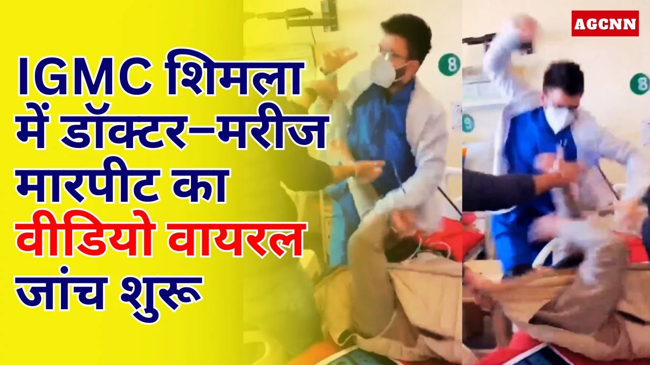 IGMC Shimla Viral Video: शिमला में डॉक्टर–मरीज मारपीट का वीडियो वायरल, जांच शुरू