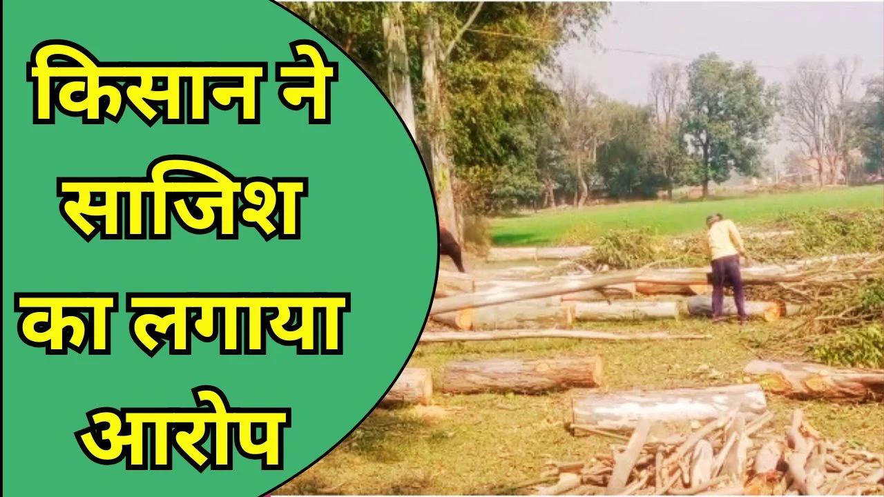 श्रावस्ती में 860 यूकेलिप्टस पौधे तोड़े, आक्रोश