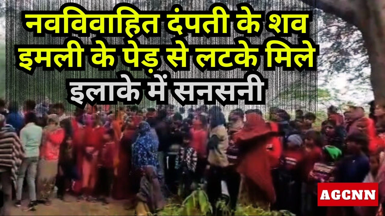 Sitapur | अनिया कला: नवविवाहित दंपती के शव इमली के पेड़ से लटके, पुलिस जांच में जुटी