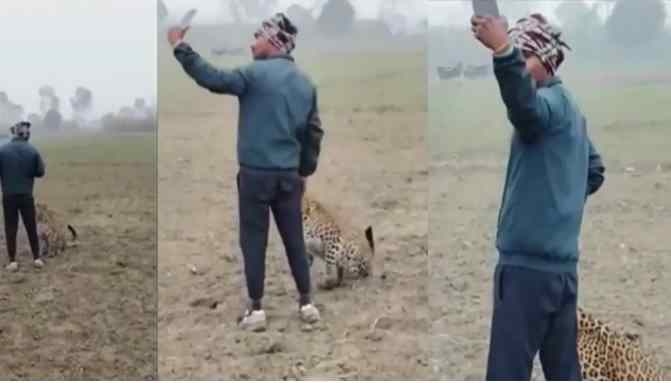 तेंदुए संग सेल्फी का वायरल वीडियो: इंसान की जान पर बना रोमांच