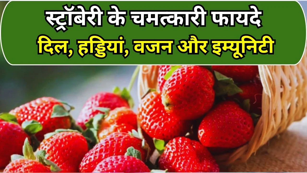 स्ट्रॉबेरी के फायदे: हृदय, हड्डियों, वजन और इम्यूनिटी के लिए बेहतरीन