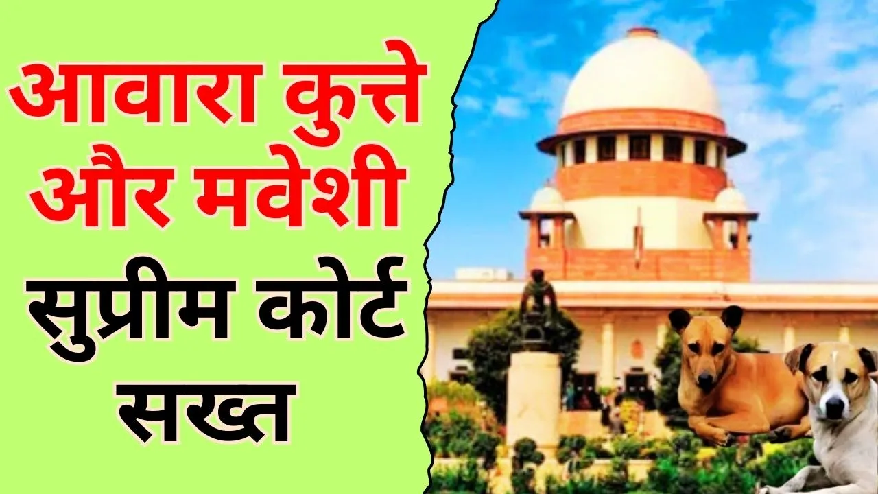 Stray Dogs | सुप्रीम कोर्ट में आवारा कुत्ते और मवेशियों पर सुनवाई, सड़क सुरक्षा और समाधान पर जोर