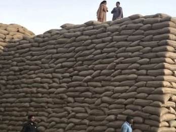 सूरजपुर: तीन समितियों से गायब 2 करोड़ से ज्यादा का धान, भौतिक सत्यापन में सामने आई बड़ी गड़बड़ी