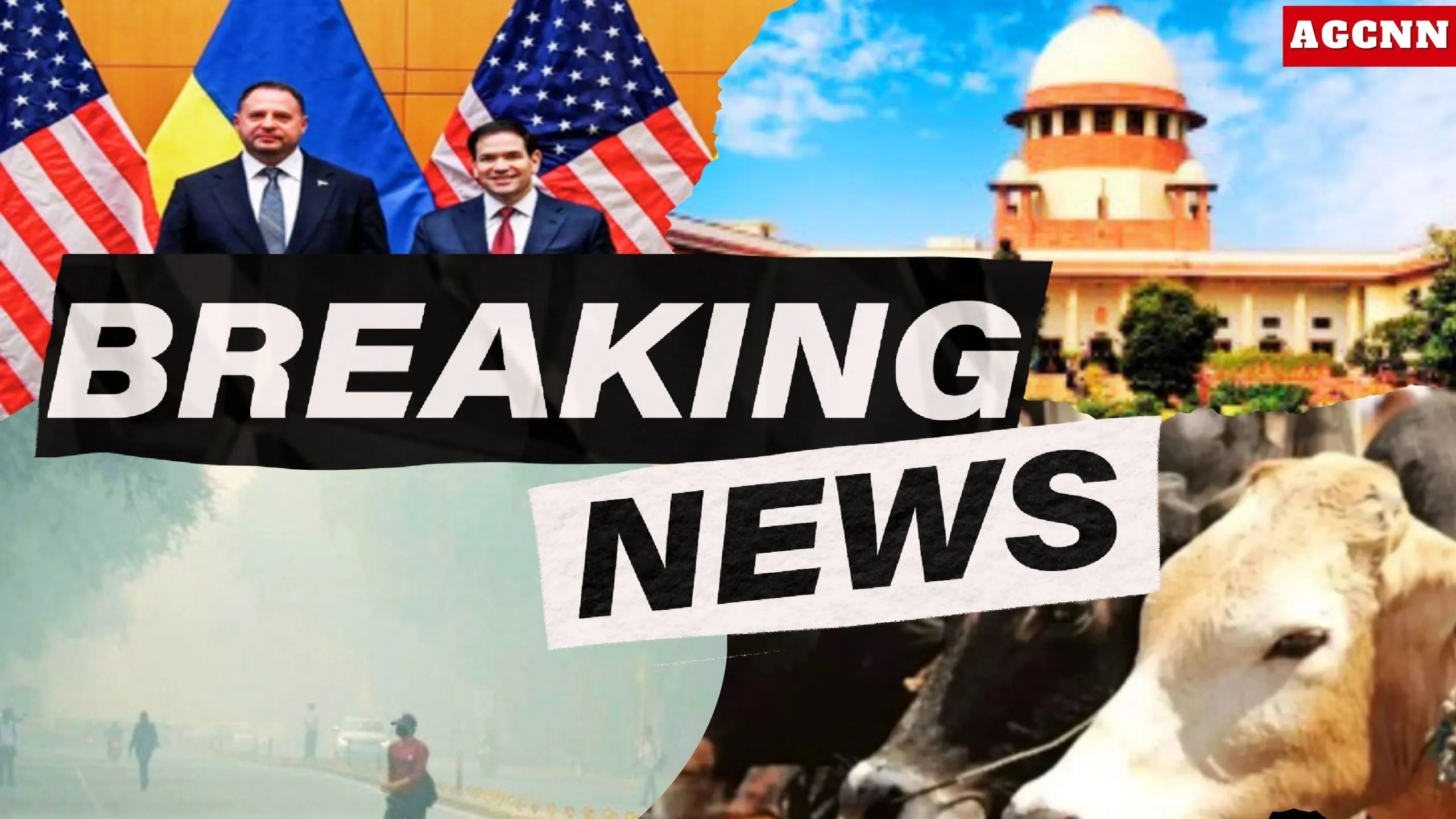 बिहार में आदर्श गौशाला का ऐलान, एसिड अटैक केस फैसला, मुंबई AQI और बारामूला आतंकी कार्रवाई | Top News