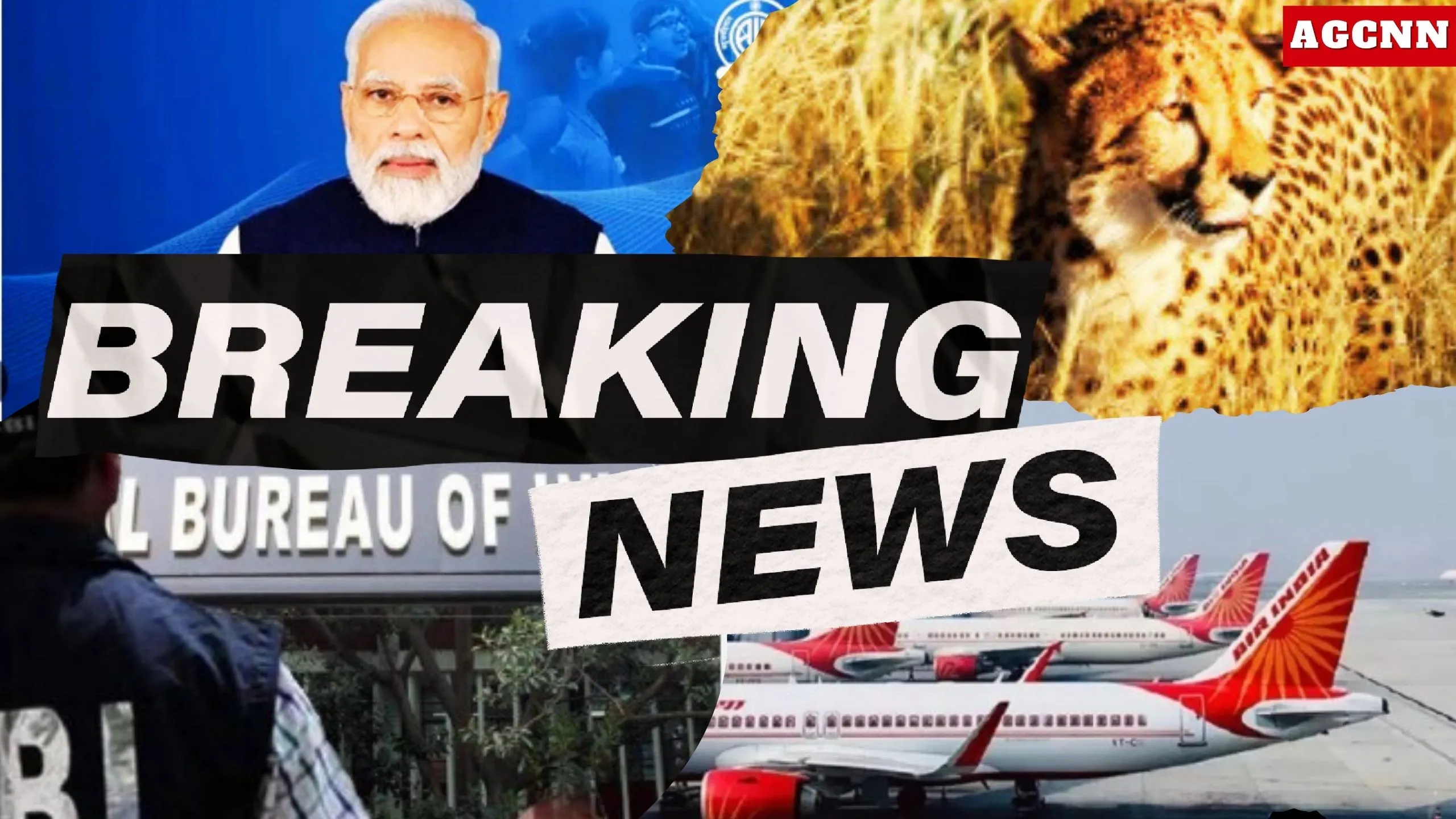 मन की बात में पीएम मोदी का संदेश: चीतों की बढ़ती संख्या, यंग लीडर्स डायलॉग और ऑपरेशन सिंदूर पर खास बातें