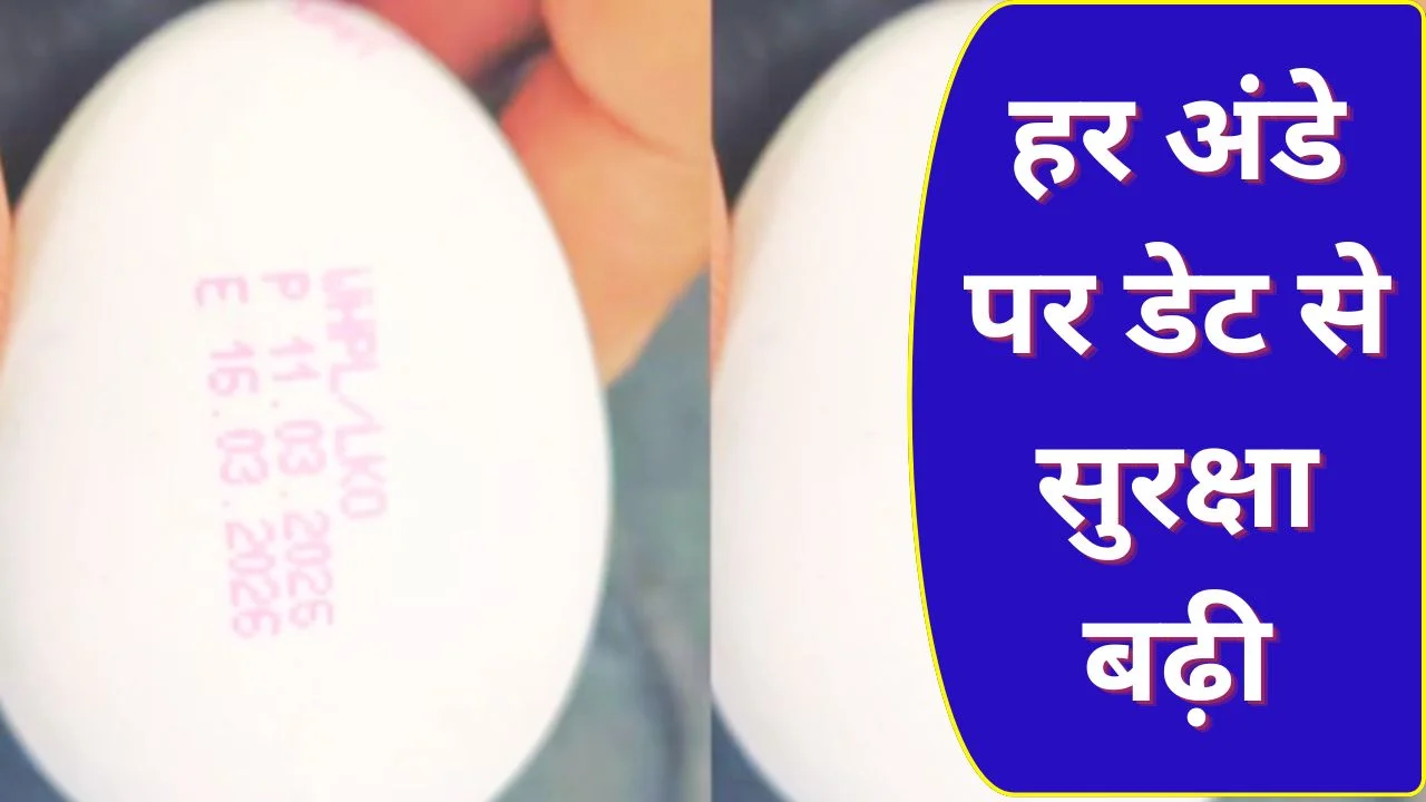 UP में 1 अप्रैल से हर अंडे पर डेट अनिवार्य