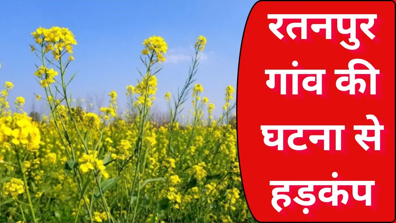 दुष्कर्म करने नियत से नाबालिक लड़की को लेकर सरसों के खेत में पहुंचा नाबालिक लड़का