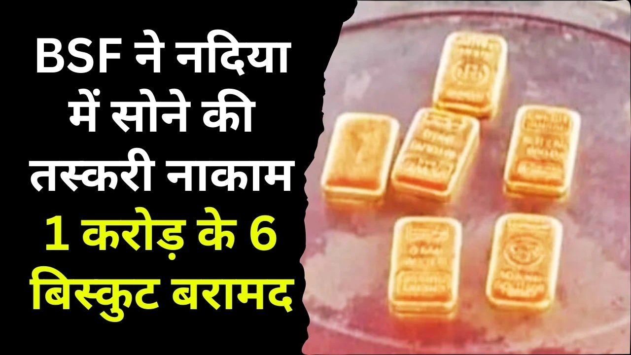 BSF ने नदिया में सोने की तस्करी नाकाम, 1 करोड़ के 6 बिस्कुट बरामद