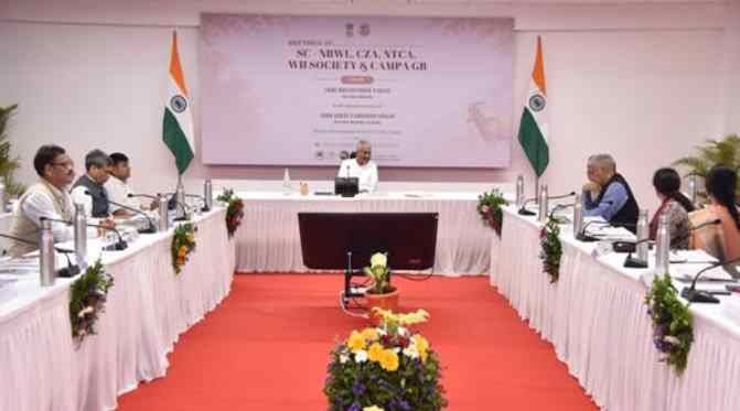 WII सोसाइटी की 28वीं बैठक में भूपेंद्र यादव ने रखा विजन 2047 का रोडमैप, वन्यजीव संरक्षण पर जोर
