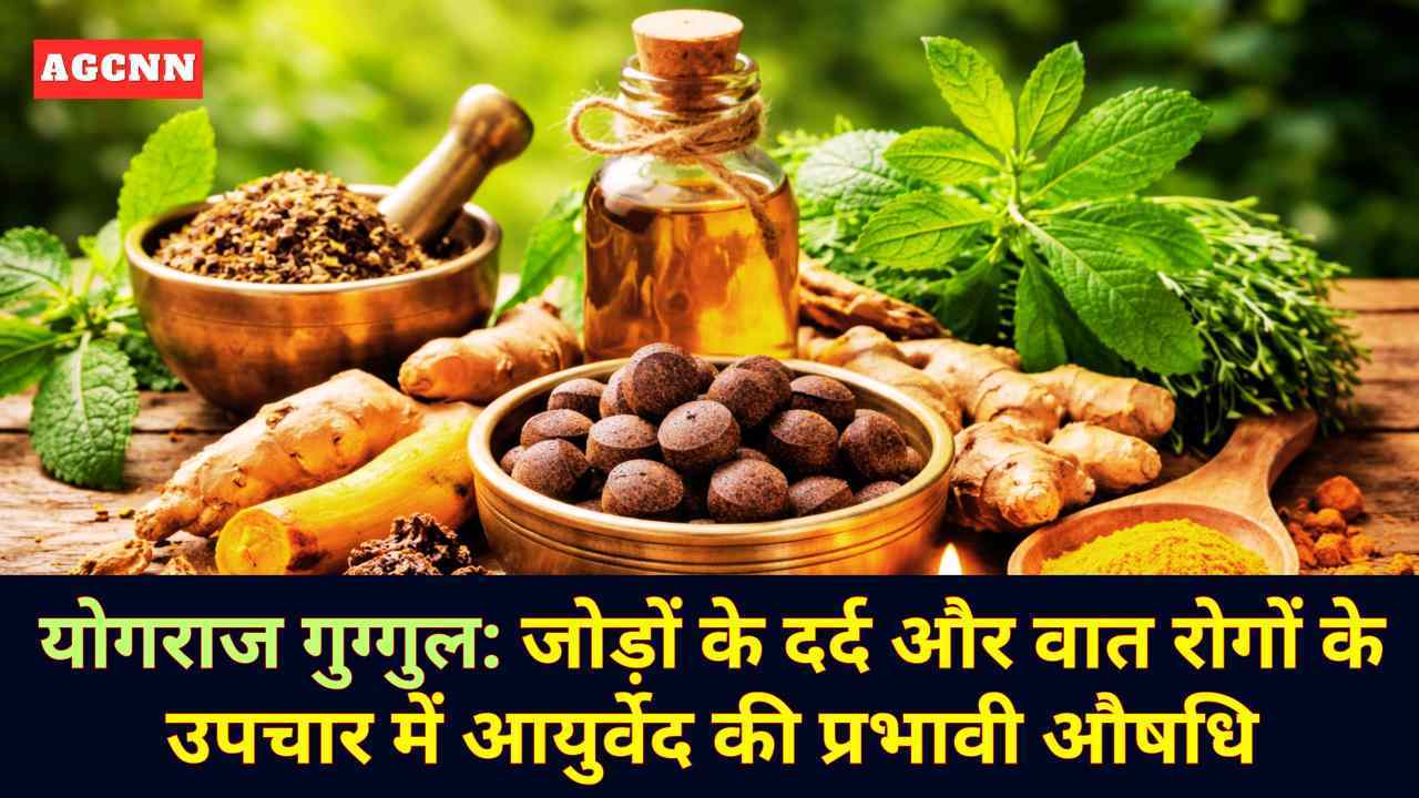 योगराज गुग्गुल: जोड़ों के दर्द और वात रोगों के उपचार में आयुर्वेद की प्रभावी औषधि