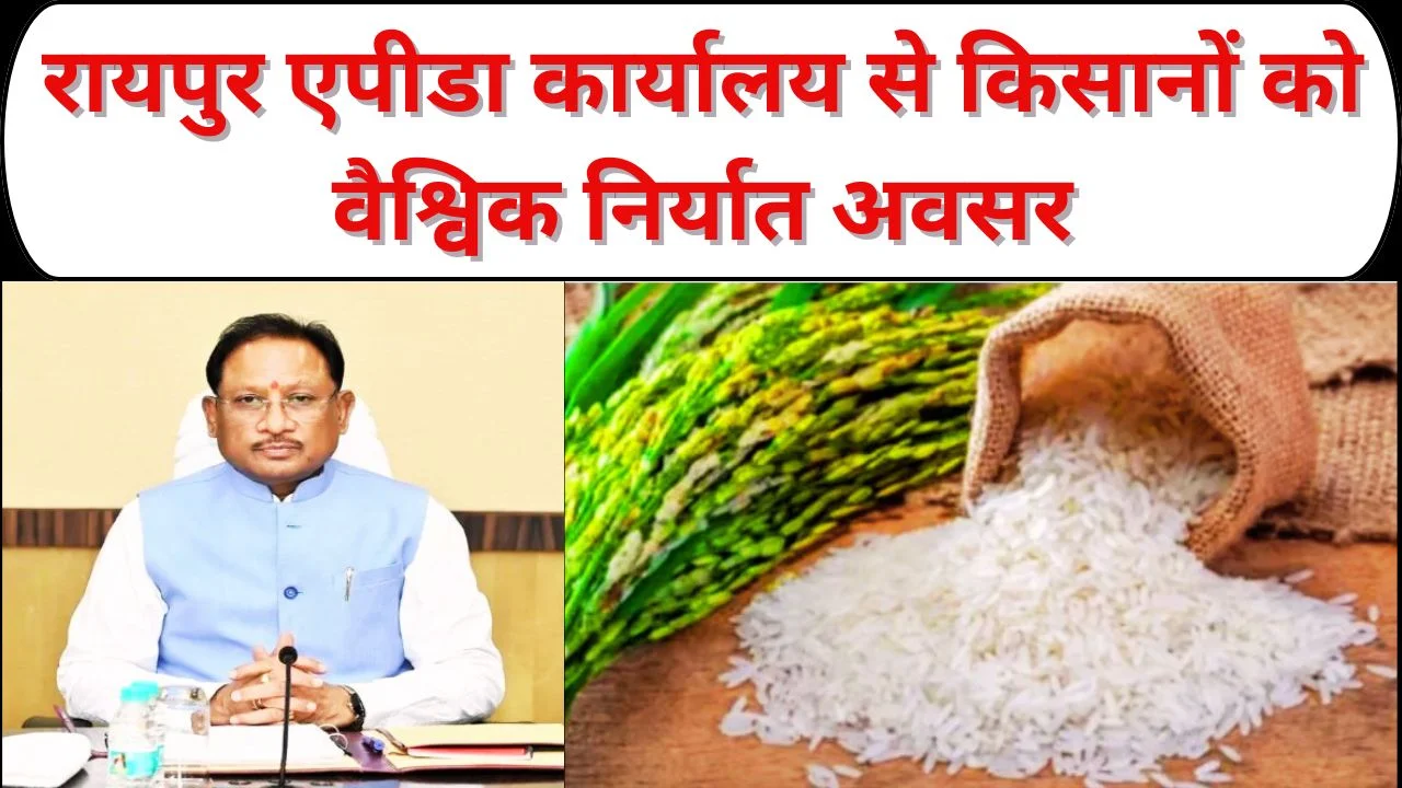 रायपुर में एपीडा कार्यालय शुरू, छत्तीसगढ़ को कृषि और चावल निर्यात में नई पहचान