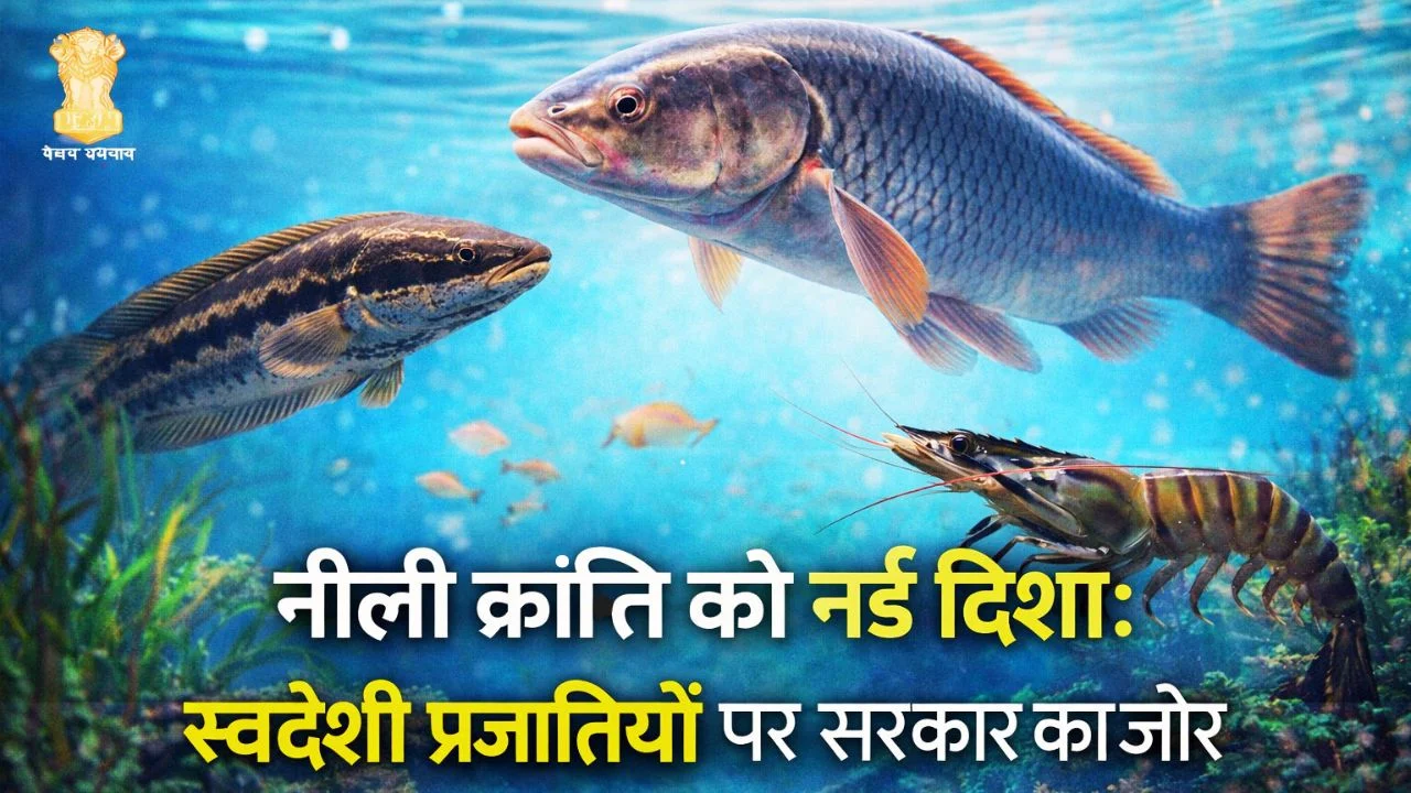 नीली क्रांति को नई दिशा: मत्स्य पालन में स्वदेशी प्रजातियों पर सरकार का जोर