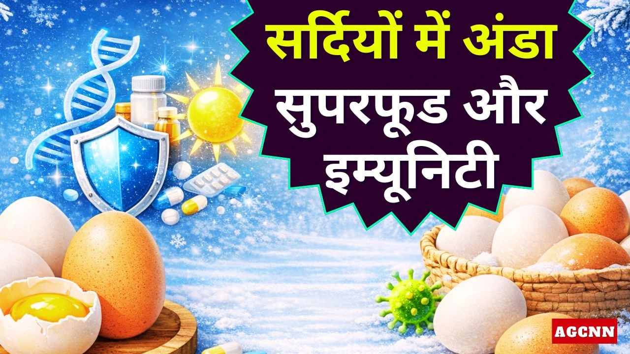 सर्दियों में अंडा क्यों माना जाता है सुपरफूड? जानिए सेहत और इम्यूनिटी का पूरा विज्ञान