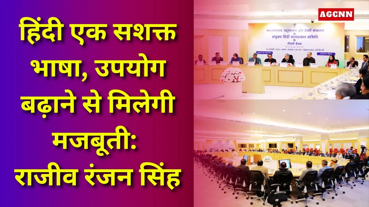 हिंदी एक सशक्त भाषा, उपयोग बढ़ाने से मिलेगी मजबूती: राजीव रंजन सिंह